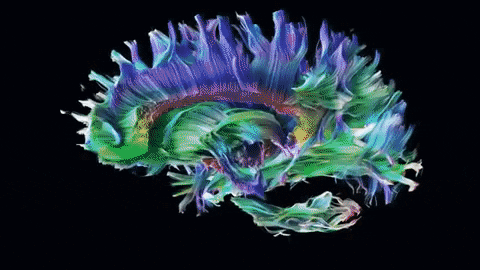 EMPOWERING HEALTHCARE THROUGH DATA SCIENCE