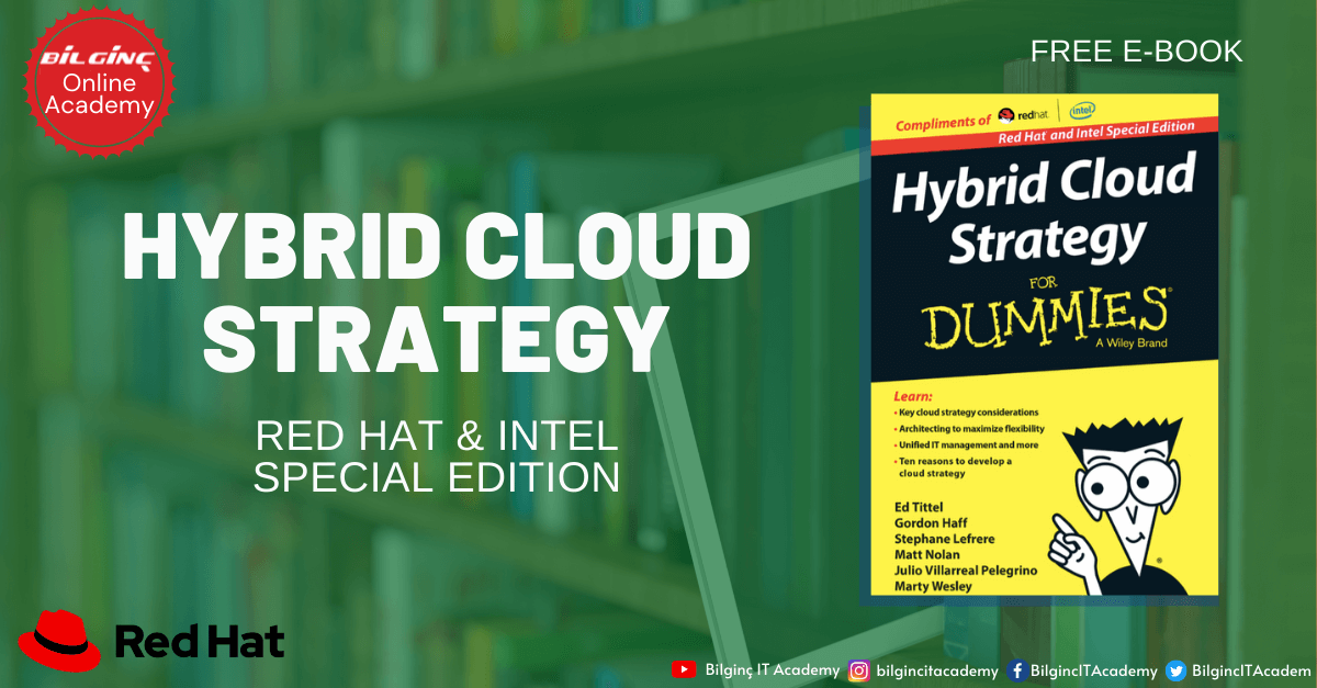 Hybrid Cloud Strategy