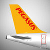 PEGASUS