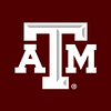 TEXAS A&M UNIVERSITY - QATAR